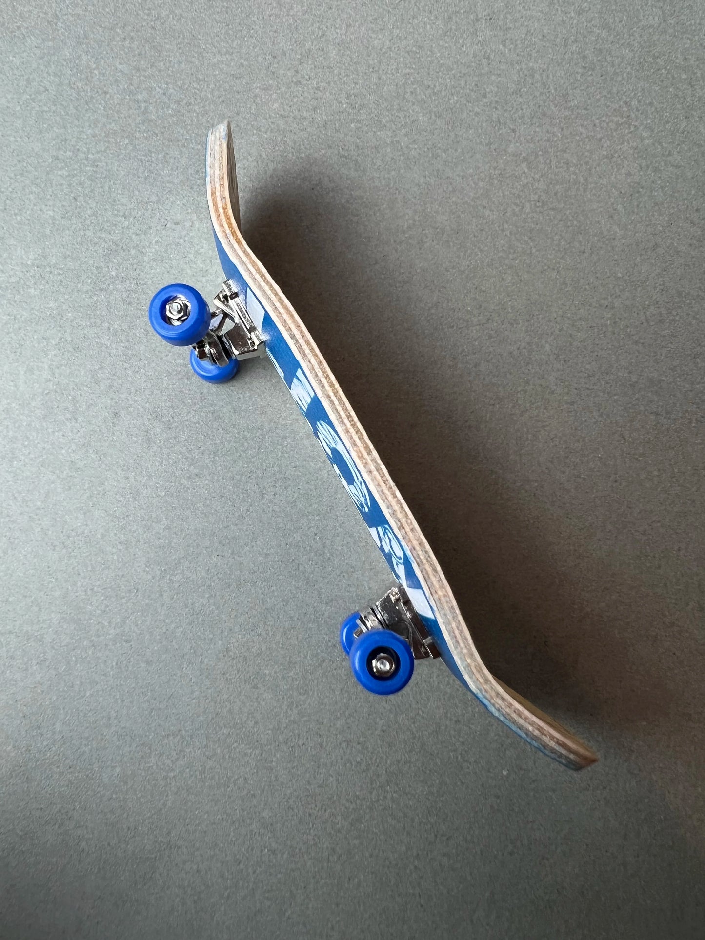 Fingerboard Leon Azul  (30mm)